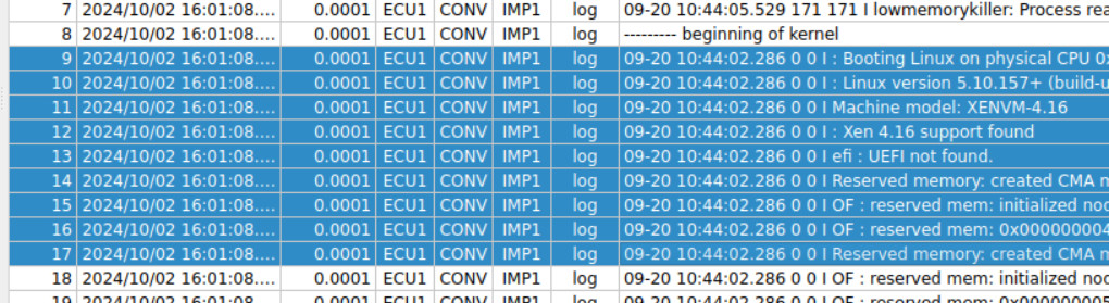 Screenshot of the selected messages within the main dlt-viewer's table