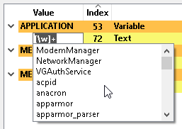 Screenshot of the completion list for "APPLICATION" var