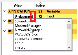 Screenshot of the completion list for "APPLICATION" var with the usage of pipe